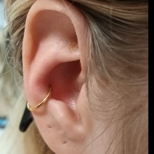 Conch piercing vstavljen v Puer Aeternus studiu v Sežani, Menjava na rinko, po zaključenem celjenju