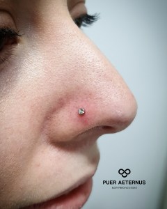 nostril piercing vstavljen v Puer Aeternus studiu v Sežani