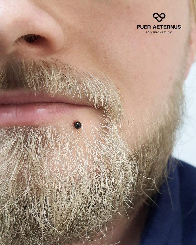 Labret piercing vstavljen v Puer Aeternus studiu v Sežani