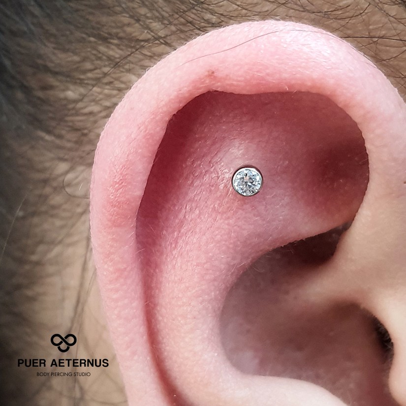 Flat Helix piercing vstavljen v Puer Aeternus studiu v Sežani