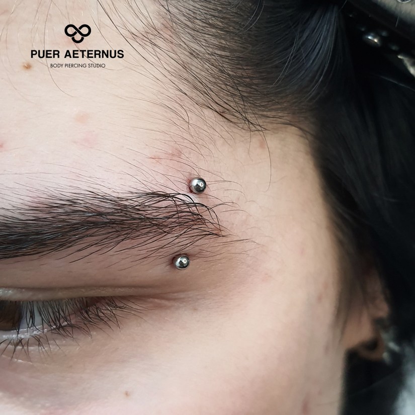Eyebrow piercing, piercing obrvi vstavljen v Puer Aeternus studiu v Sežani