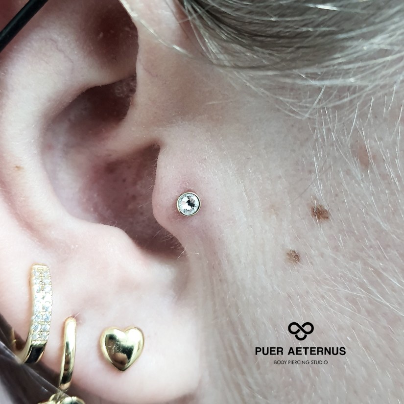 Tragus piercing vstavljen v Puer Aeternus studiu v Sežani
